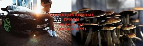 ALPHA-PVP Дмитриев