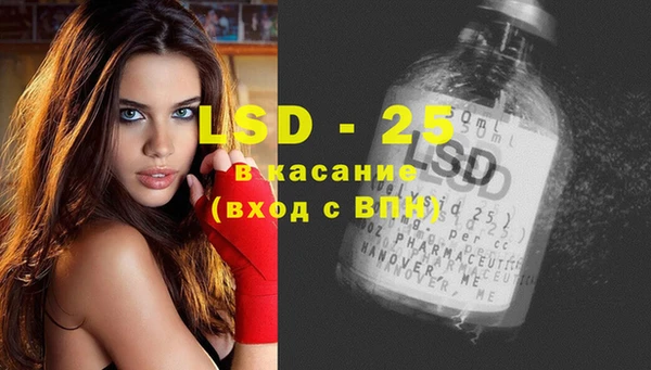мет Ельня
