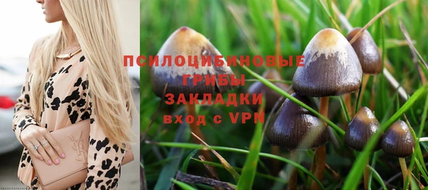 мет Ельня