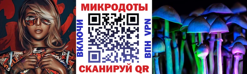 Псилоцибиновые грибы Psilocybine cubensis  Купить где  Кушва 